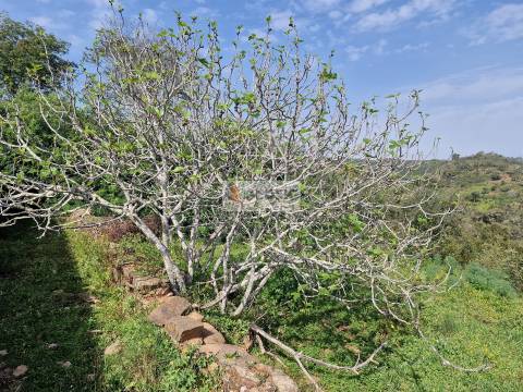 Quintinha T2 Venda em Santa Clara-a-Nova e Gomes Aires,Almodôvar