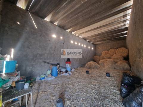 Quintinha T1 Venda em Castro Verde e Casével,Castro Verde