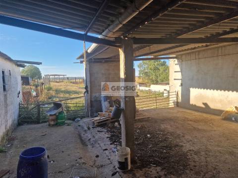 Quintinha T1 Venda em Castro Verde e Casével,Castro Verde