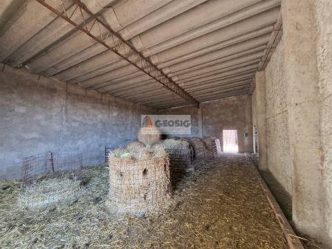 Quintinha T1 Venda em Castro Verde e Casével,Castro Verde