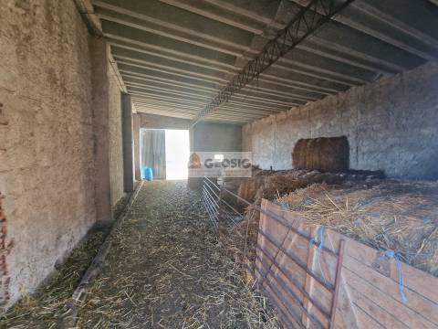 Quintinha T1 Venda em Castro Verde e Casével,Castro Verde