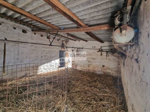 Quintinha T1 Venda em Castro Verde e Casével,Castro Verde