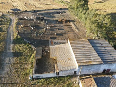 Quintinha T1 Venda em Castro Verde e Casével,Castro Verde