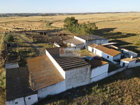 Quintinha T1 Venda em Castro Verde e Casével,Castro Verde