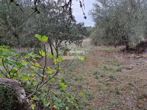 Quinta T3 Venda em Santa Clara-a-Nova e Gomes Aires,Almodôvar