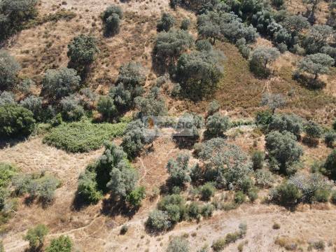 Quinta T3 Venda em Santa Clara-a-Nova e Gomes Aires,Almodôvar