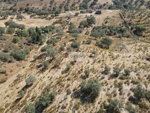 Quinta T3 Venda em Santa Clara-a-Nova e Gomes Aires,Almodôvar