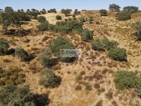 Quinta T3 Venda em Santa Clara-a-Nova e Gomes Aires,Almodôvar