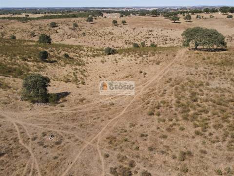 Quinta T3 Venda em Santa Clara-a-Nova e Gomes Aires,Almodôvar