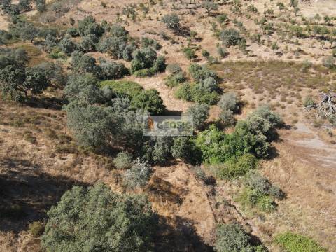 Quinta T3 Venda em Santa Clara-a-Nova e Gomes Aires,Almodôvar