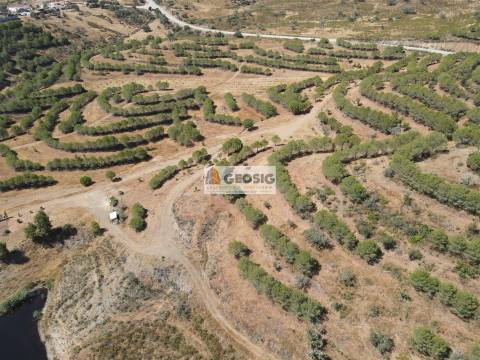 Terreno Rústico  Venda em Vaqueiros,Alcoutim