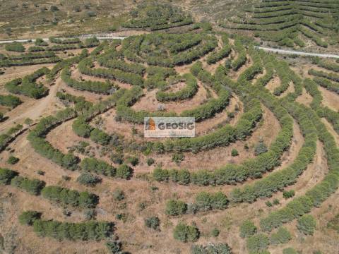 Terreno Rústico  Venda em Vaqueiros,Alcoutim