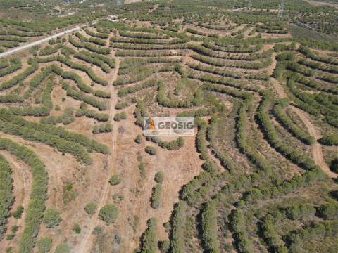 Terreno Rústico  Venda em Vaqueiros,Alcoutim