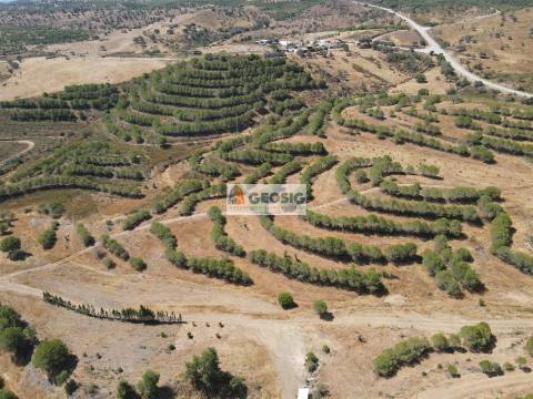 Terreno Rústico  Venda em Vaqueiros,Alcoutim
