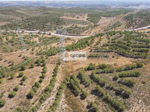 Terreno Rústico  Venda em Vaqueiros,Alcoutim