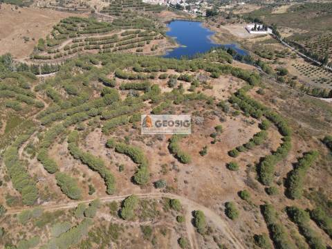 Terreno Rústico  Venda em Vaqueiros,Alcoutim