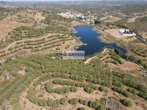 Terreno Rústico  Venda em Vaqueiros,Alcoutim
