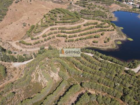 Terreno Rústico  Venda em Vaqueiros,Alcoutim
