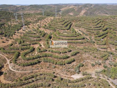 Terreno Rústico  Venda em Vaqueiros,Alcoutim