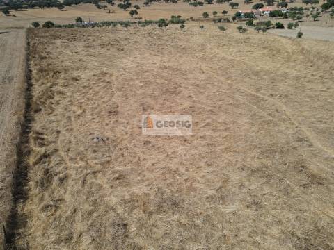 Quintinha T4 Venda em Ourique,Ourique