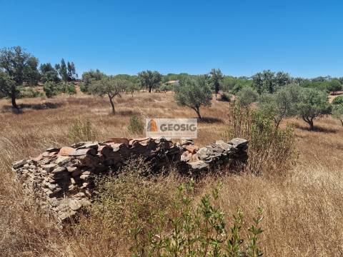 Quinta T4+2 Venda em Ourique,Ourique