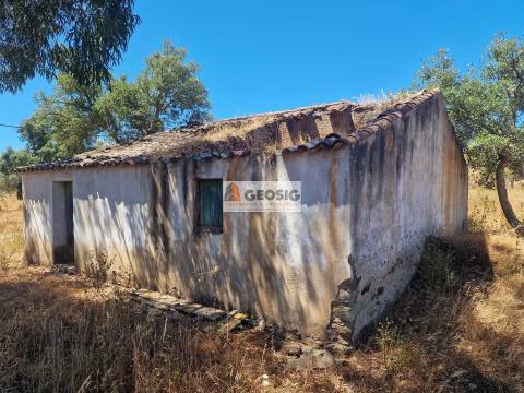 Quinta T4+2 Venda em Ourique,Ourique