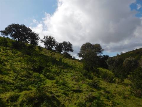 Quinta T1 Venda em Santa Clara-a-Nova e Gomes Aires,Almodôvar