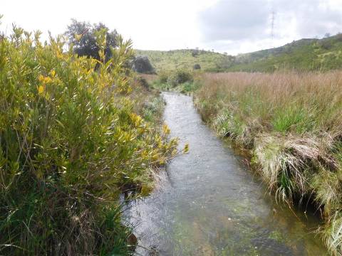 Quinta T1 Venda em Santa Clara-a-Nova e Gomes Aires,Almodôvar