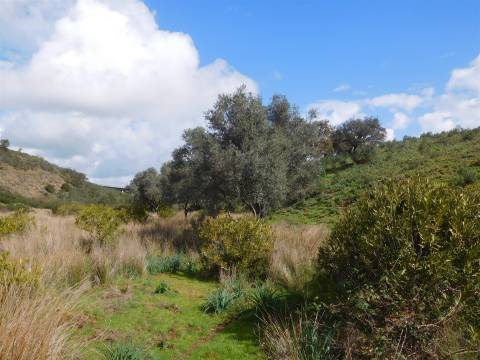 Quinta T1 Venda em Santa Clara-a-Nova e Gomes Aires,Almodôvar