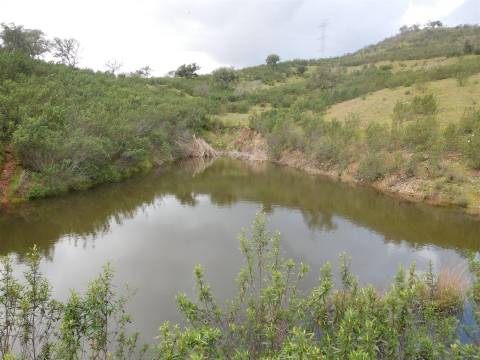 Quinta T1 Venda em Santa Clara-a-Nova e Gomes Aires,Almodôvar