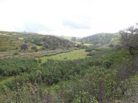 Quinta T1 Venda em Santa Clara-a-Nova e Gomes Aires,Almodôvar