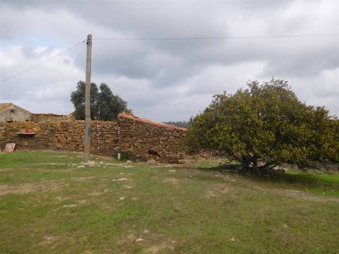 Quinta T1 Venda em Santa Clara-a-Nova e Gomes Aires,Almodôvar