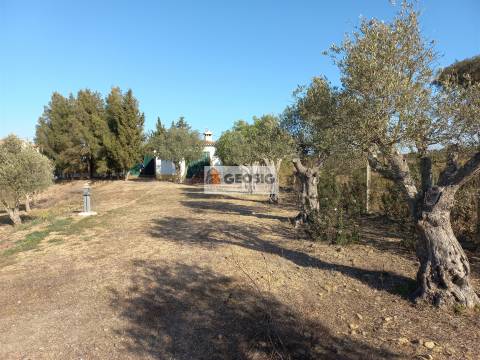 Quintinha T2 Venda em Almodôvar e Graça dos Padrões,Almodôvar