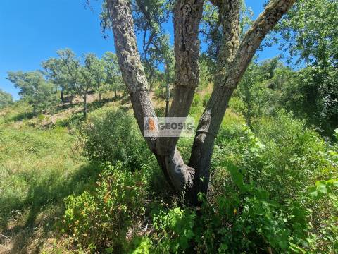 Terreno Rústico  Venda em São Barnabé,Almodôvar