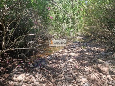 Terreno Rústico  Venda em São Barnabé,Almodôvar