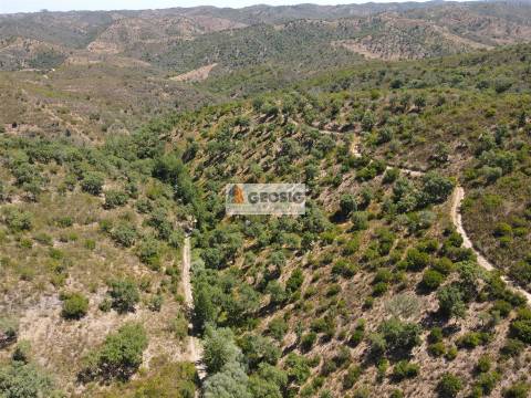 Terreno Rústico  Venda em São Barnabé,Almodôvar