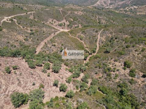 Terreno Rústico  Venda em São Barnabé,Almodôvar