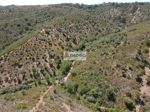 Terreno Rústico  Venda em São Barnabé,Almodôvar