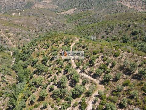Terreno Rústico  Venda em São Barnabé,Almodôvar