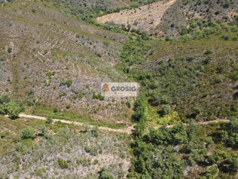 Terreno Rústico  Venda em São Barnabé,Almodôvar