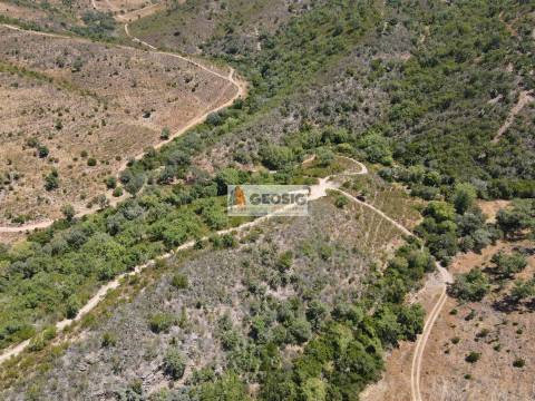 Terreno Rústico  Venda em São Barnabé,Almodôvar