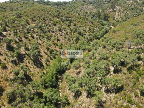 Terreno Rústico  Venda em São Barnabé,Almodôvar