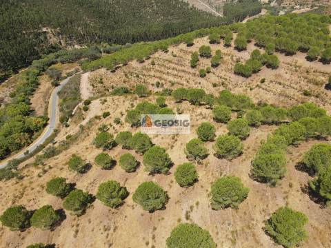 Herdade T4 Venda em São Barnabé,Almodôvar
