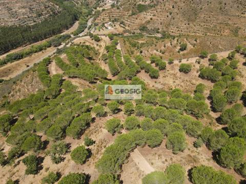 Herdade T4 Venda em São Barnabé,Almodôvar