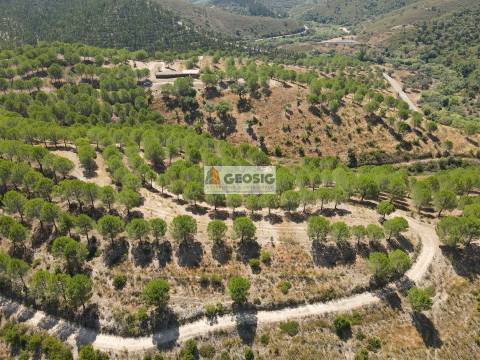 Herdade T4 Venda em São Barnabé,Almodôvar