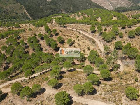 Herdade T4 Venda em São Barnabé,Almodôvar