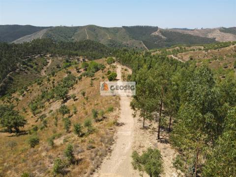 Herdade T4 Venda em São Barnabé,Almodôvar