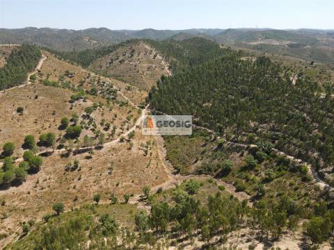 Herdade T4 Venda em São Barnabé,Almodôvar