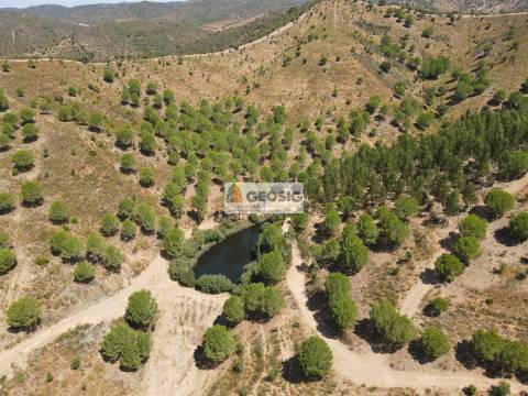 Herdade T4 Venda em São Barnabé,Almodôvar