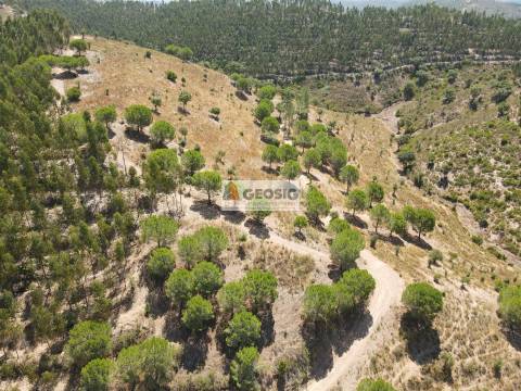 Herdade T4 Venda em São Barnabé,Almodôvar